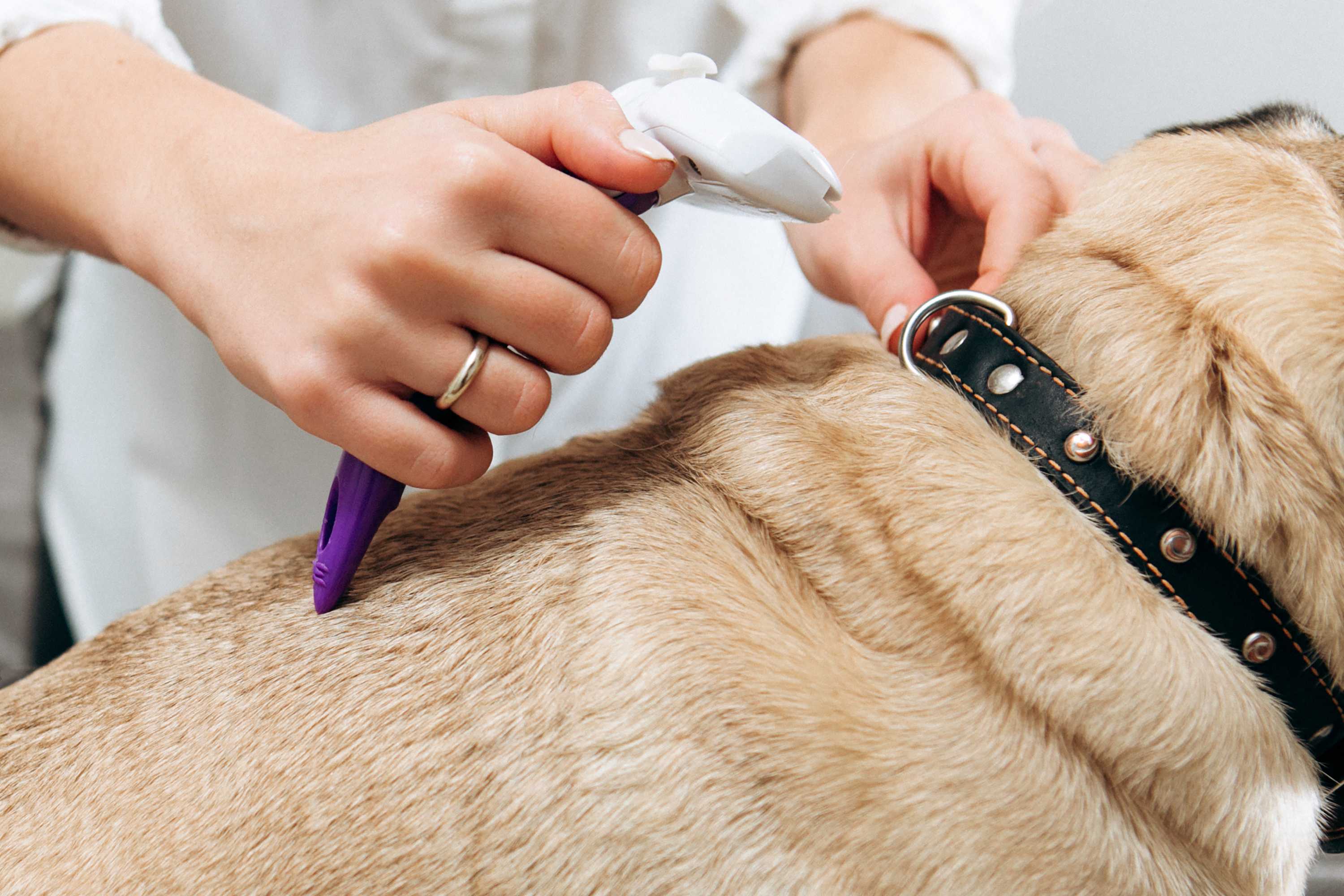 Laserterapia Landing Image